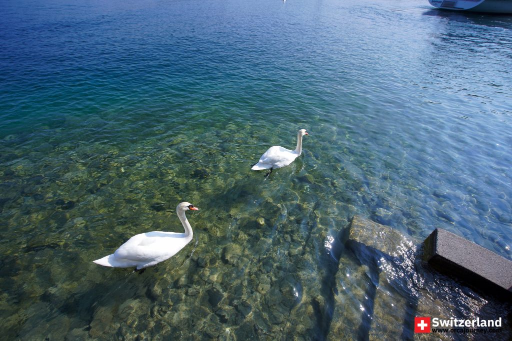 Lake Lucerne